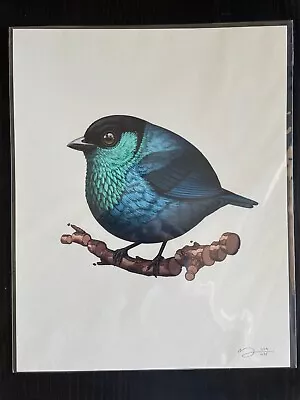Mike Mitchell Black-Capped Tanager Fat Bird • $80
