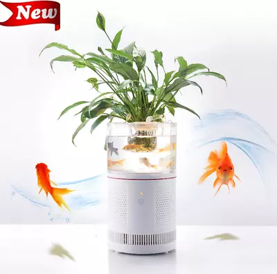 Aquarium Fish Tank Mini Betta Tank With LED Light Filter And  Air Purifier • $89.17