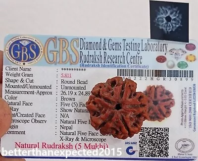 5 Mukhi Rudraksha / Five Face Rudraksh Big Size  Nepal Bead 25-26 MM - Certified • $15.90