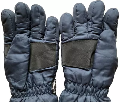 Thinsulate Insulation 40 Gram Winter Snow Ski Gloves Men L Water Resist GUC • $4.95