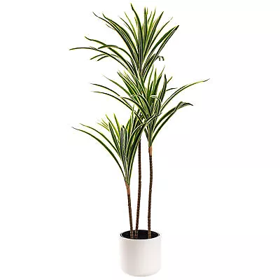 Artificial Plant - Variegated Yucca Tree Large Fake Plant Fake Plants Indoor • £34.99