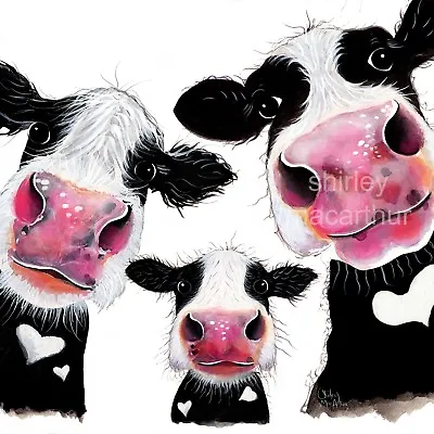 £7.99 • Buy COW PRINTS WaLL ART CoW CaNVaS Of Original Painting 'THe NoSeY FaMiLY' SHIRLEY M