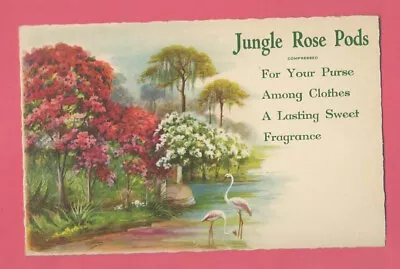 E G Barnhill Old Florida Print Swan Egret Heron Jungle Rose Pod Advert Tree FL • $3.95