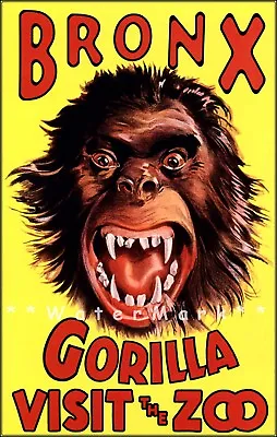 Bronx Zoo New York City Gorilla Vintage Poster Print Zoo Garden Tourism • $21.58