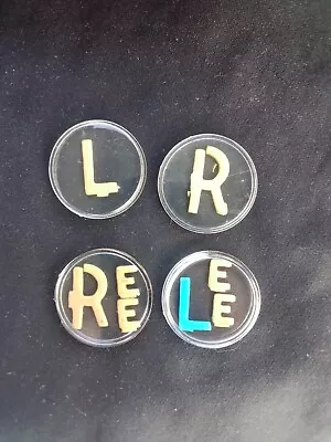 X-ray Markers With Initials EE Plus One Set Of Basic Markers Without Initials. • $11