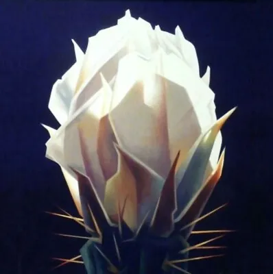 Ed Mell - Flower Offset Lithograph • $673.82