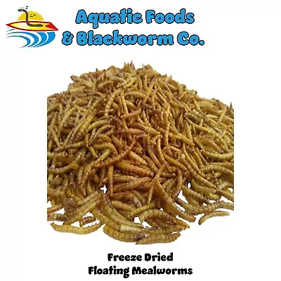 Mealworms--Freeze Dried Koi & Pond Fish Large Fish Turtles Birds & Reptiles • $17.99