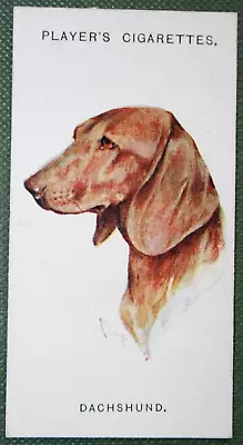 DACHSHUND   Original 1929 Vintage Illustrated Card  CD01M • $6.21