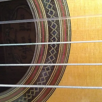  Concert CLASSICAL GUITAR  BRAZILIAN -  DOUBLE BACK AND SIDES - CARLOS PINA • $7250