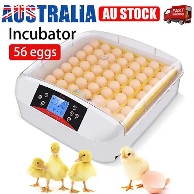 56 Eggs Digital Egg Incubator LED Fully Automatic Turning Chicken Duck Poultry • $105.95