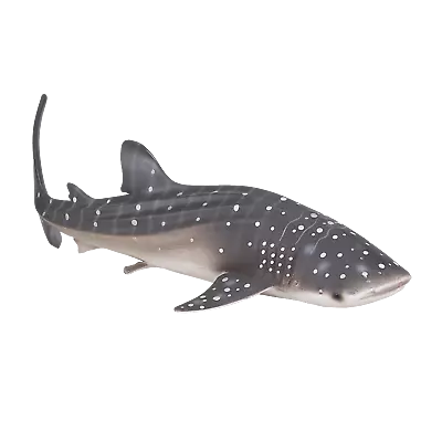 £14.95 • Buy Mojo WHALE SHARK Plastic Animal Sea Toy Figure Model Figurine Fish Bath Marine