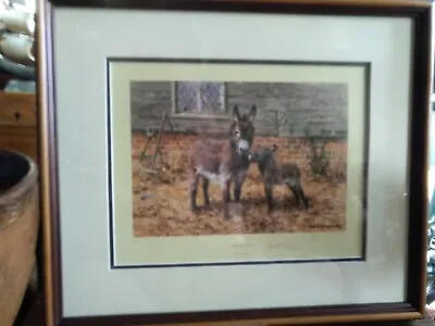 David Shepherd Limited Edition Signed Donkey Talk Framed1991 Good Condition. • £60