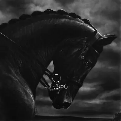 $40.19 • Buy Robert Longo, 'Horses Head', Fine Art Print