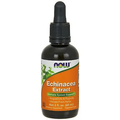 NOW Foods Echinacea Extract Liquid 2 Fl. Oz. • $12.79