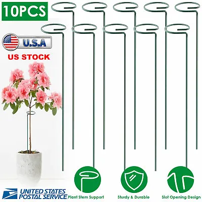 10 Pack Plant Support Stakes Garden Flower Vegetable Single Stem Support Stake • $14.94