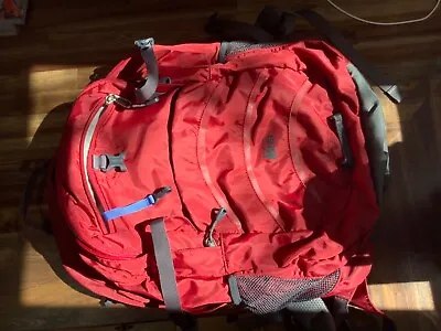 REI Red Backpack With Waist Strap • $24
