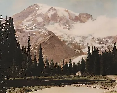 Hand Colored Photo Of Mt. Rainier From Paradise Park Washington. Ca. 1930's  • $49.95