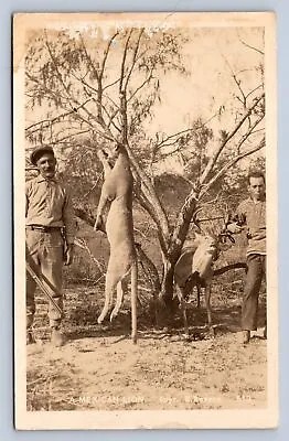 J87/ Interesting RPPC Postcard C20s Mountain Lion Deer Rifle Hunters Hunt 458 • $27.60