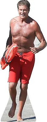 David Hasselhoff - Baywatch 74   Life Size Cardboard Cutout Standee • $43.95