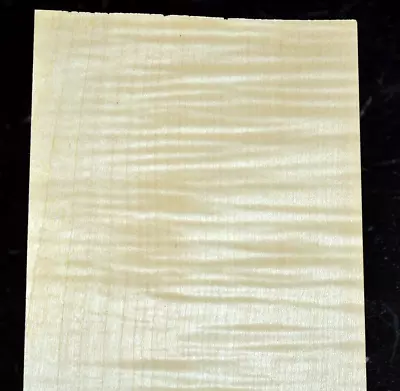 Curly Maple Wood Veneer Sheet 6 X 38 Inches 1/42nd                    4666-40 • $8.99