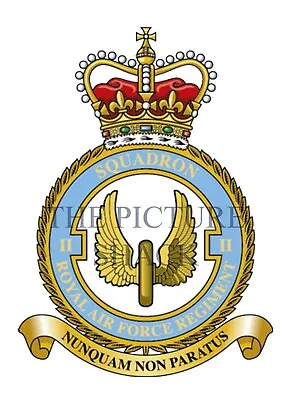 2 SQUADRON RAF REGT CREST ON A METAL SIGN 5 X 7 INCHES. FITS STANDARD FRAME. • £6.99