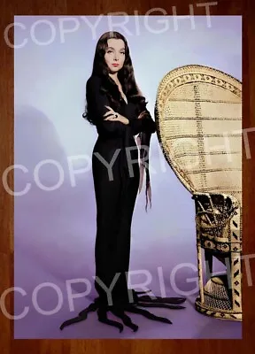 Carolyn Jones Morticia Addams Family Retro Tv Series Full Color Poster • $32.14