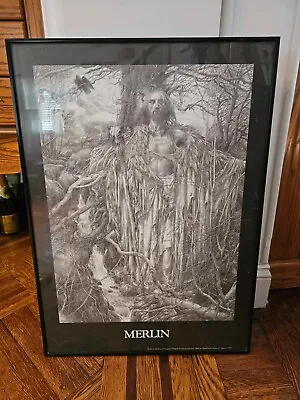 Framed Print Poster Merlin In His Shamanistic Guist 18X25in  • $149.99