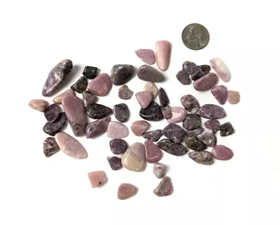 Lepidolite Tumbled Stones - 3 Oz Bag / Lot  Assorted Small Size Stones • $4