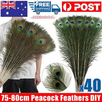 40pcs 75-80cm Natural Genuine Peacock Eye Feathers Vase Home Decor DIY Craft • $44.85