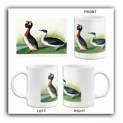 Horned Grebe - 1827 - Illustration Mug • $16.99