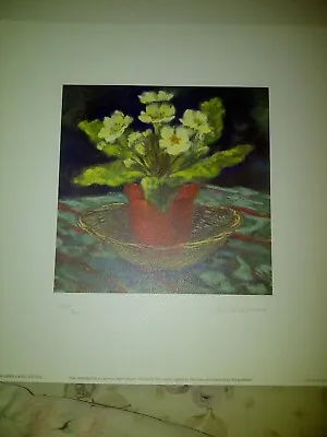  White Primula  Print Hand Signed And Numbered #474/500 By Nel Whatmore • £14.25