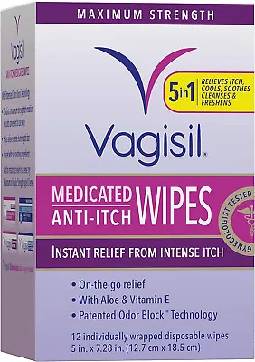 Vagisil Anti-Itch Medicated Feminine Intimate Wipes For Women • $6.29
