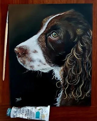 Original Springer Spaniel Dog Portrait Oil Painting David Ferrero 10x8  3mm MDF  • £34.99