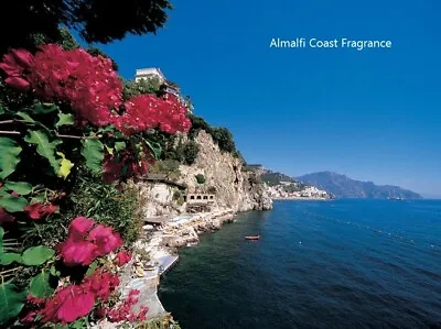 $19.95 • Buy PREMIUM HIGHLY SCENTED REED DIFFUSER REFILLS - Almalfi Coast