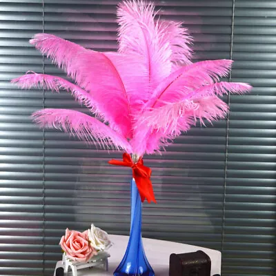 1/10 PCS Wholesale Quality Natural Ostrich Feathers 30-35cm Party Table Decor • $9.54