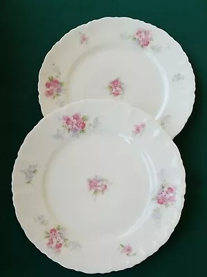 Antique Moritz Zdekauer Habsburg China 8  Dessert Plate - Made In Austria  Set/2 • $19.90