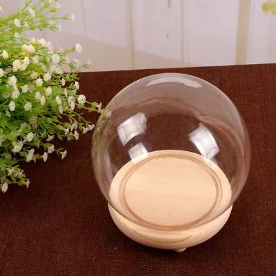 £9.95 • Buy Round Glass Display Bell Jar Dome Cloche With Base Decorative Desk Vintage Stand