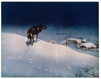 Original Vintage Print C1930 Kowalski Lone Wolf 9x7  Winter Landscape Scene • $11.95