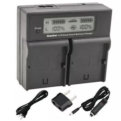 BP-828 Battery & Dual Fast Charger For Canon FS10 FS11 FS21 FS22 FS31 FS40 FS200 • $26.99