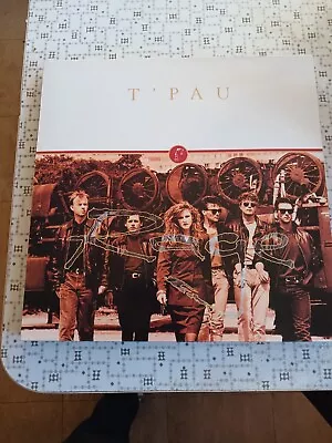 T Pau Rage Vinyl Lp With Original Inner Sleeve Mint • £4.99