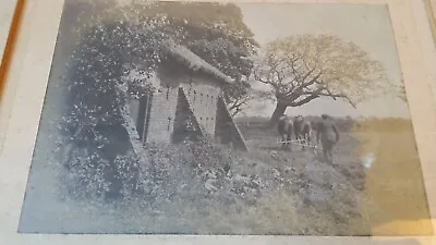 1900 Original Antique Photograph - Farmer Ploughing & Horse - Oak Frame • £24.95