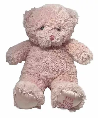 Baby GUND My First Teddy Bear Stuffed Animal Plush Toy 9” • $9.34