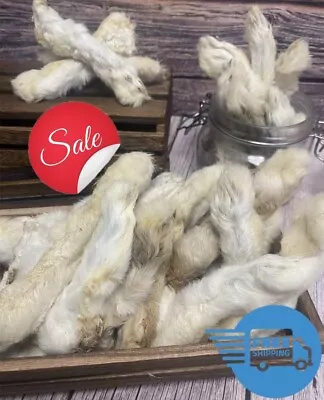 Natural Rabbit Feet Fur Hypoallergenic Dog Chew Treat Great Ear Alternative 200g • £19.99