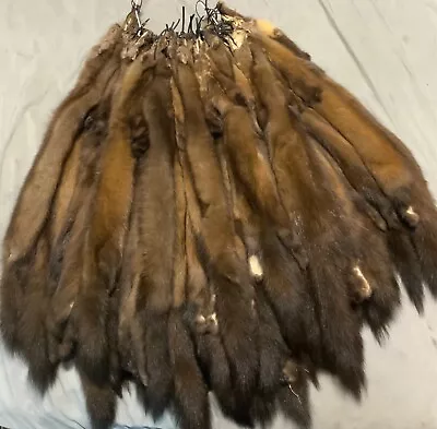 Tanned Alaskan Marten Hide Fur Pelt Sable Top Lot Pelts • $78.99