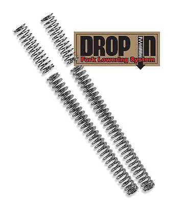 Drop-In Fork Lowering Spring Kit Progressive 10-2003 • $135.95