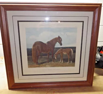 Fores's Series Of The Mothers Jf Herring Hack Mare & Foal Horse Engraving 1864? • $39.99