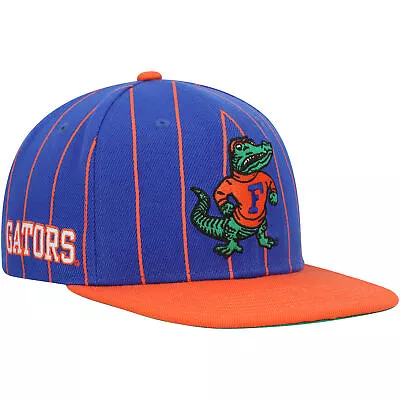 Men's Mitchell & Ness Royal Florida Gators Team Pinstripe Snapback Hat • $26.24