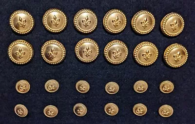 Vintage Gold Designer BLAZER BUTTON Lot Coat Metal Shank Fleur De Lis 24pcs  • $33.99