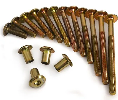 M6 Gold Brass Yellow Furniture Connector Bolts With Cap Nuts Fixing Unit Cot Bed • £6.25