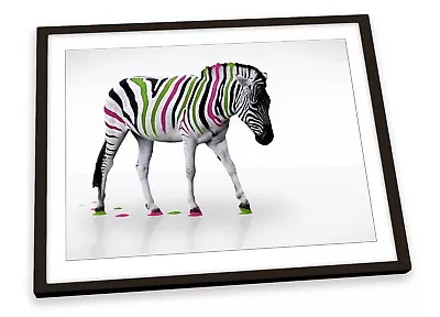 Zebra Multi Coloured Stripes FRAMED ART PRINT Picture Poster Artwork • £15.99